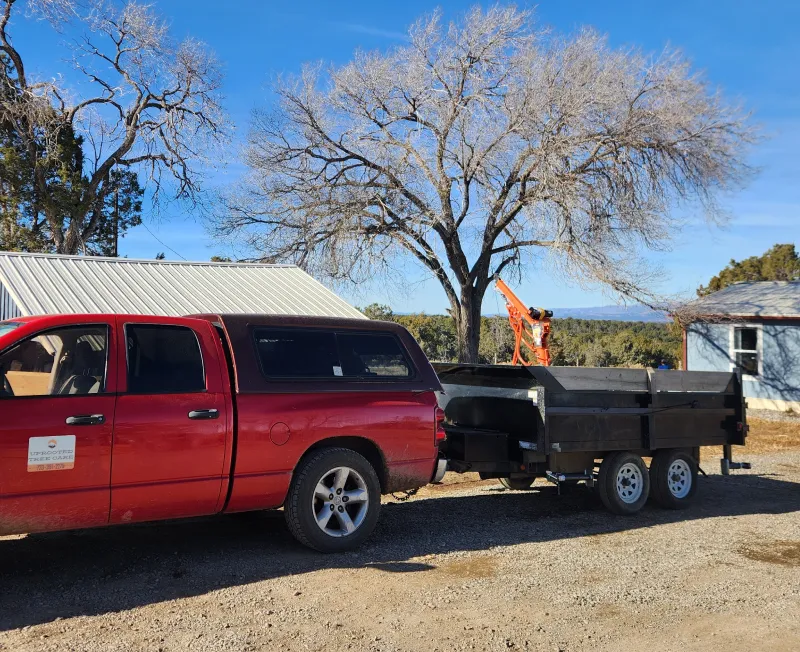 wood chipping delivery cortez co